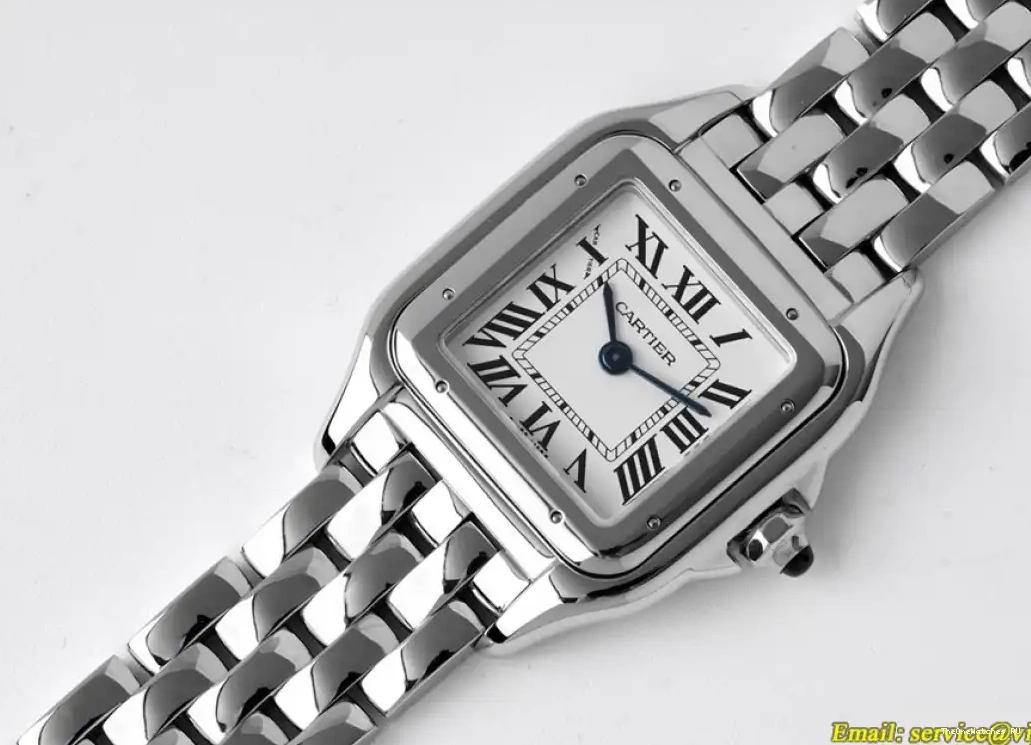 Panthere 22mm SS SS Swiss Qtz Secrete Ladies White De BVF 0617